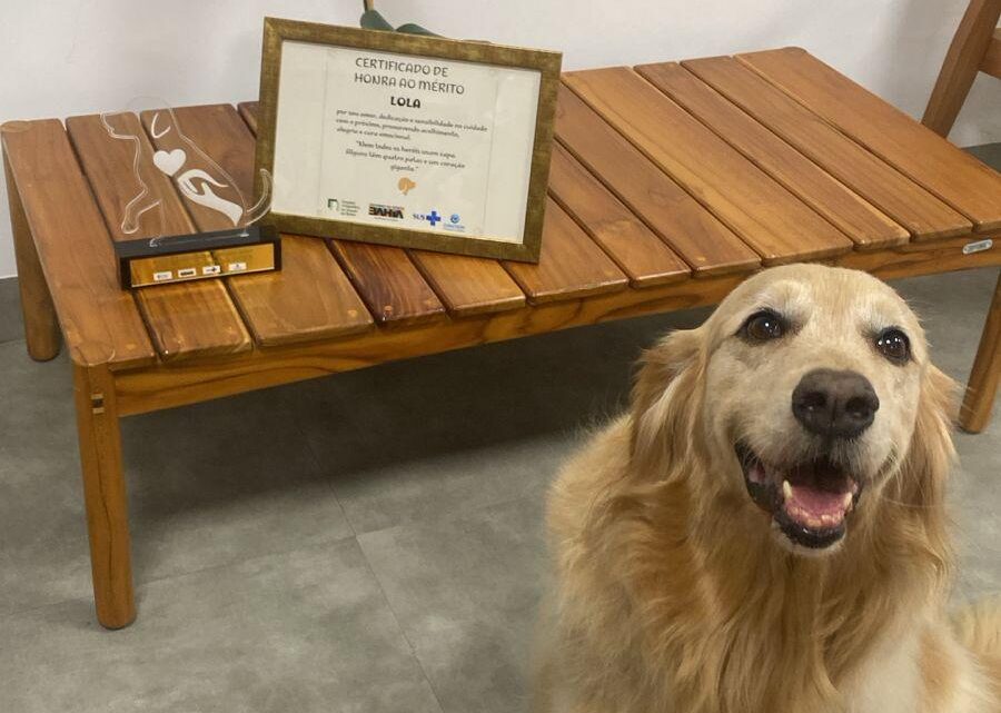 “Cão terapeuta” Lola completa um ano de atuação no Hospital Ortopédico do Estado da Bahia