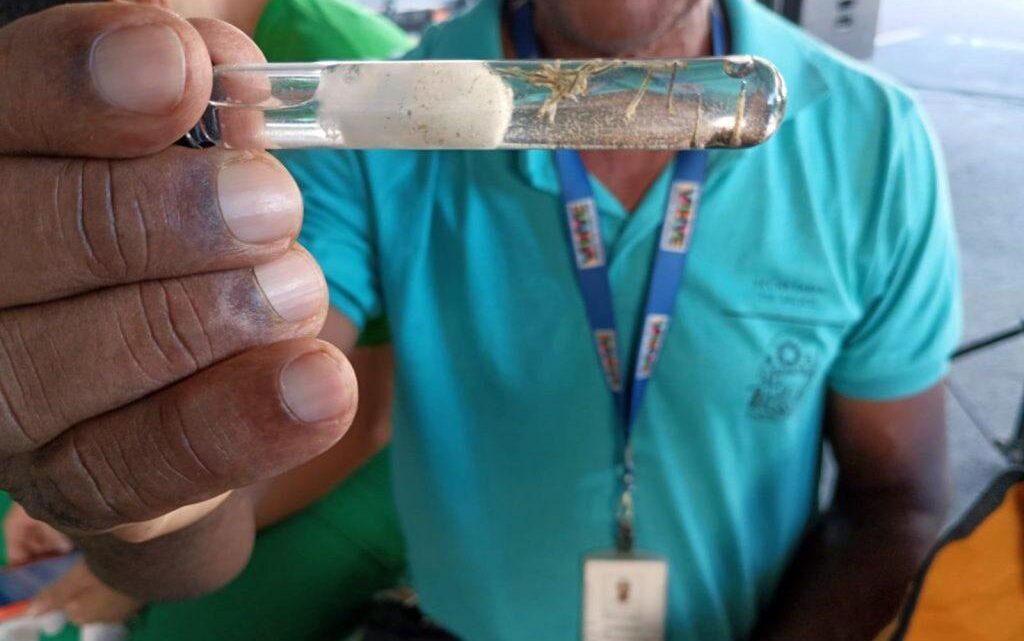 Casos de dengue na Bahia têm redução de 86% em 2025